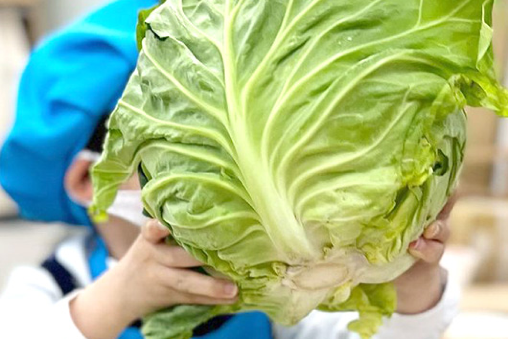 食育
