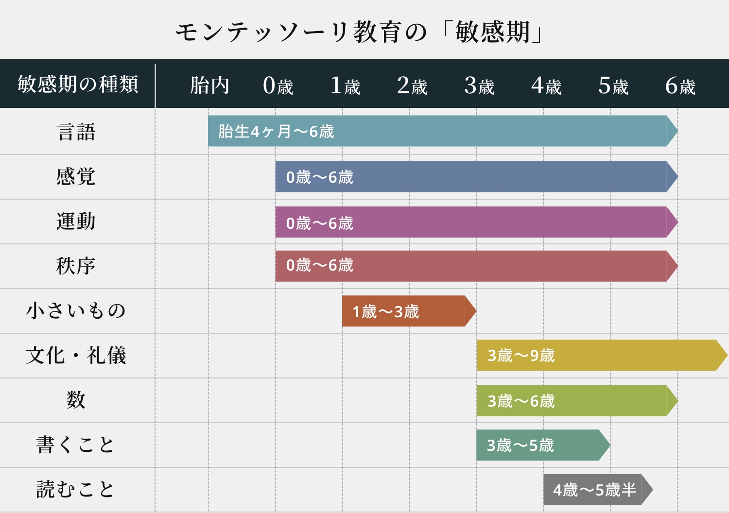 モンテッソーリ教育の「敏感期」​
