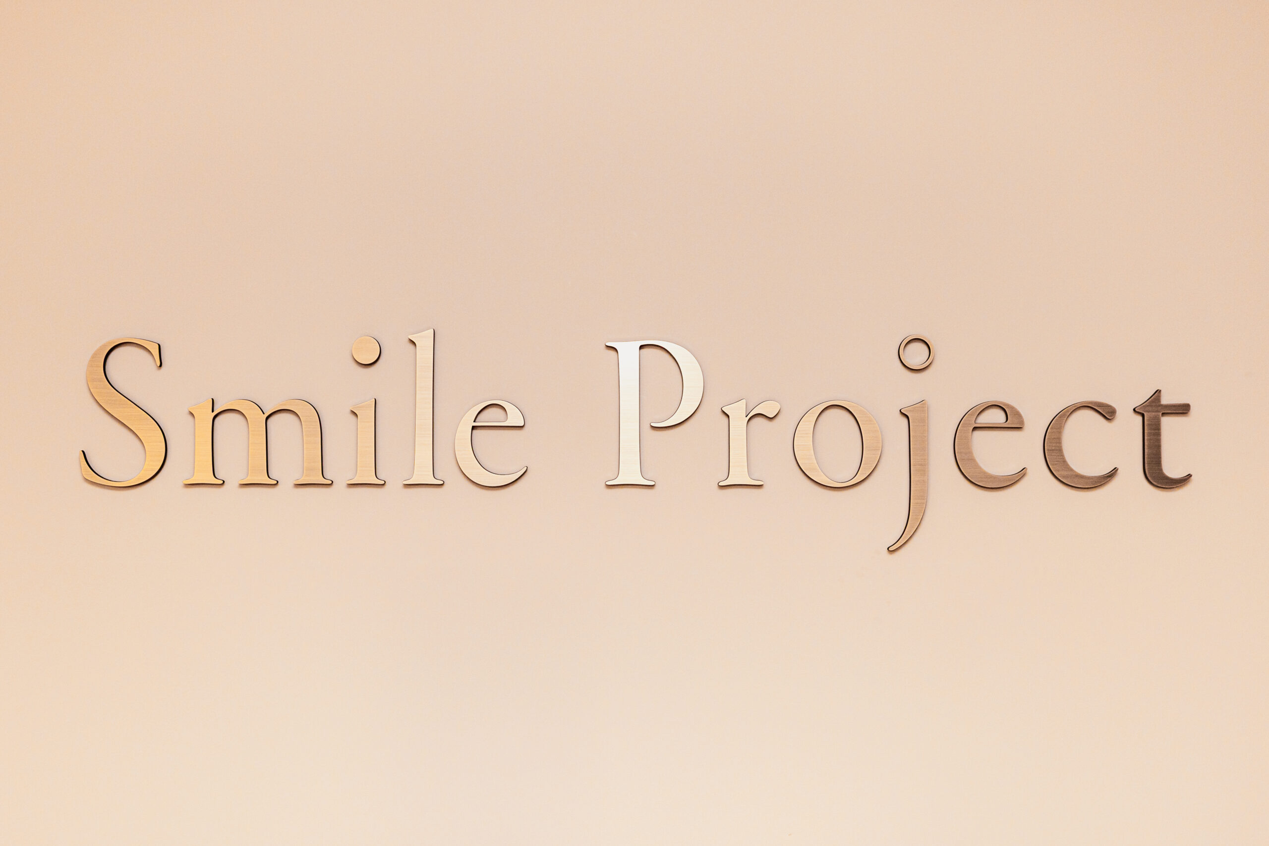 企業紹介（パーパス・会社概要）